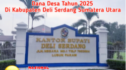 Terlengkap Daftar Rincian Dana Desa 2025 di Kabupaten Deli Serdang, ADD yang Paling Tinggi di Kecamatan Tanjung Morawa, Desa Tanjung Morawa-A 1.766 Milyar dan Desa Buntu Bedimbar 1.764 Milyar