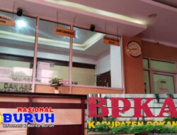 Lumpuhnya Perekonomian Daerah Pemkab Rokan Hilir, Diduga Menjadi Penyebab Utama dari Terlantarnya TPP Pegawai dan Gaji Honorer