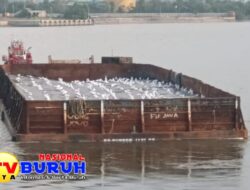 CBA Minta Bareskrim Polri dan Kejagung Periksa PT Bangka Cipta Pratama Terkait Langgar Aturan ESDM dan KLHK