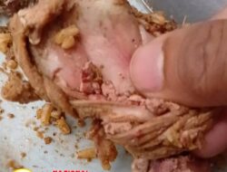 Viral!.. Seorang Warga Tanjung Morawa Perlihatkan Ati Ayam, Sayur Mateng yang Dibelinya Benar-Benar Belum Masak Masih Berwarna Merah