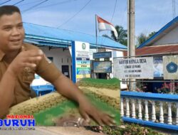 Suheryanto Kades Lengau Serpang, Diduga Markup Mesin Alat Pertanian, dan Memelihara Ikan Gurame di Kolam Sendiri, Lembu, Kambing Fiktif!