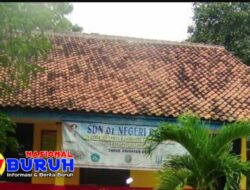 Dugaan Mark-Up dan Penyelewengan Dana BOS 2024 di SDN 01 Negeri Batin, Way Kanan