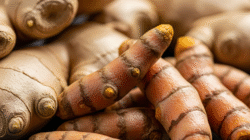 Manfaat Jahe dan Kunyit untuk Kesehatan