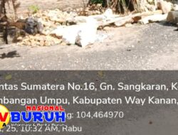 Salah Satu Warga SP 3 Umpu Kencana Diduha Memfasilitasi Pembelian Batu Hias Komuniti Exsport Tanpa Legalitas yang Jelas