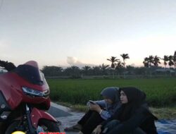 Menanti Kereta, Menyapa Senja di Tengah Sawah