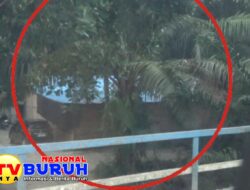 Judi Tembak Ikan Kota Pari Masih Beroperasi, Patut Diduga Kapolres Sergai Terima Upeti dari Bos Judi