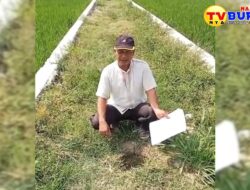 Video Penjelasan Warga Desa Sugiharjo, Dasar Timbunan JUT Diduga Tidak ada Sirtu dan Tembok Penahan yang Rusak!