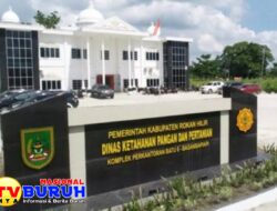 Beberapa OPD Daerah Diduga Kinerjanya Makan Tidur, Terbukti dari Akibatnya TPP Pegawai Menjadi Terlantar