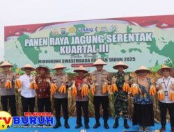 Kelompok Tani Mekar Sari Dukung Ketahanan Pangan Nasional Panen Raya Jagung Kuartal III di Desa Telaga Sari