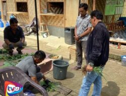 Tani Nusantara,metode yang paling Strategis dalam konsep pemberdayaan Masyarakat di Bidang Pertanian 