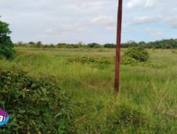 Luasnya Hamparan Lahan Kosong Milik Pemda, Diduga Sebagai Lambang Dinas Pertanian Tak Mampu Bekerja