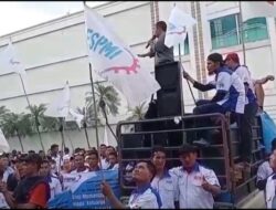 Tingginya Target Harian Pemanen di Asian Agri, Istri Anak Ikut Kerja Tanpa Upah