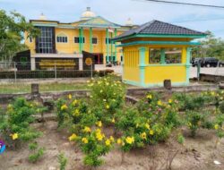 Semak Belukar yang Menghiasi Area Perkantoran Pemkab, Diduga Sebagai Simbol Terhadap Kelumpuhan DKPP Rohil