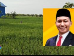 Cici Mawardi Kadis DKPP Rohil Kinerjanya Makan Tidur dan Kena AC Dikantornya, Terbukti, Dikonfirmasi Terkait Pupuk dan Keluhan Petani, Bungkam!