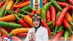 Kejar Swasembada Cabai, Bupati Way Kanan Instruksikan Warga Manfaatkan Lahan Pekarangan