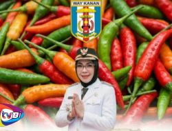 Kejar Swasembada Cabai, Bupati Way Kanan Instruksikan Warga Manfaatkan Lahan Pekarangan