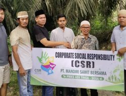 Peduli Sosial, PT. MSB Aek Tinga Sembelih 2 Ekor Hewan Kurban untuk Masyarakat Sekitar