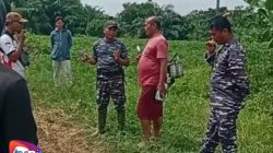 Gawat! Oknum Angkatan Laut Kodaeral I Pindah ke Darat Tanam Cabai di Tanah Kelompok Tani di Desa Limau Manis