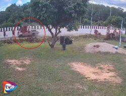 Rombongan Biksu 8 Orang Meninggal Dunia Usai Ditabrak Truk Mini