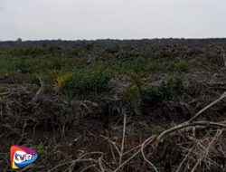 Lahan Percetakan Sawah Seluas 60 Hektar Di Palika Diduga Menelan Korban, Kinerja Kepala Dinas DKPP Rohil Dipertanyakan?