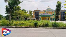Kabid Ketahanan Pangan DKPP Rohil Bungkam, Terkait Dugaan Kegagalan Panen di Palika