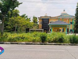 Kabid Ketahanan Pangan DKPP Rohil Bungkam, Terkait Dugaan Kegagalan Panen di Palika