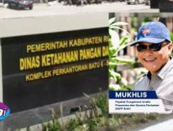 Mukhlis DKPP Rohil, Diduga Telah Menyeret Kabid Ketahanan Pangan, Dibalik Kegagalan Panen di Palika Sehingga Menimbulkan Kerugian Negara