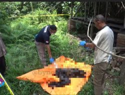 Mayat Ditemukan Membusuk di Sebuah Gubuk Tak Layak Huni di Desa Sena, Polsek Batang Kuis Gercep Tiba di TKP