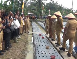 Bupati Deliserdang Penuhi Permintaan Petani Budidaya Bawang Merah di Demplot Tanjung Morawa