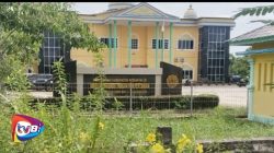 Kabid Perkebunan DKPP Rohil Bungkam, Saat Dikonfirmasi Terkait Pokok Pikir Yang Sudah Bertuan