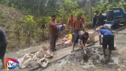 Guna Mendukung Pertumbuhan Ekonomi Masyarakat Kepala Kampung Bersama Masyarakat Ojolali Perbaiki Jalan Secara Swadaya