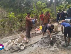 Guna Mendukung Pertumbuhan Ekonomi Masyarakat Kepala Kampung Bersama Masyarakat Ojolali Perbaiki Jalan Secara Swadaya